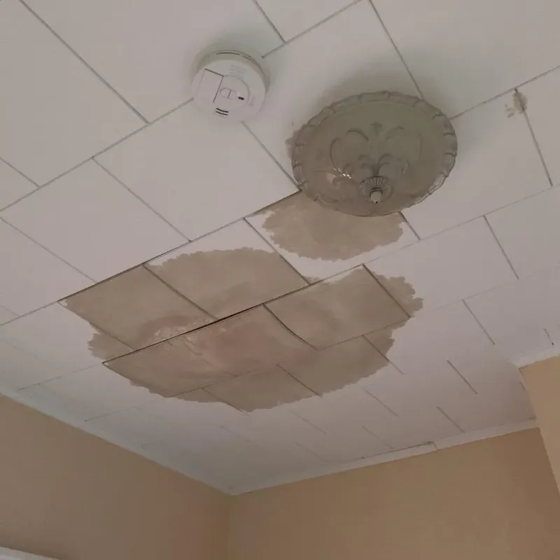 Ceiling Water Damage Repair in La Vale, MD