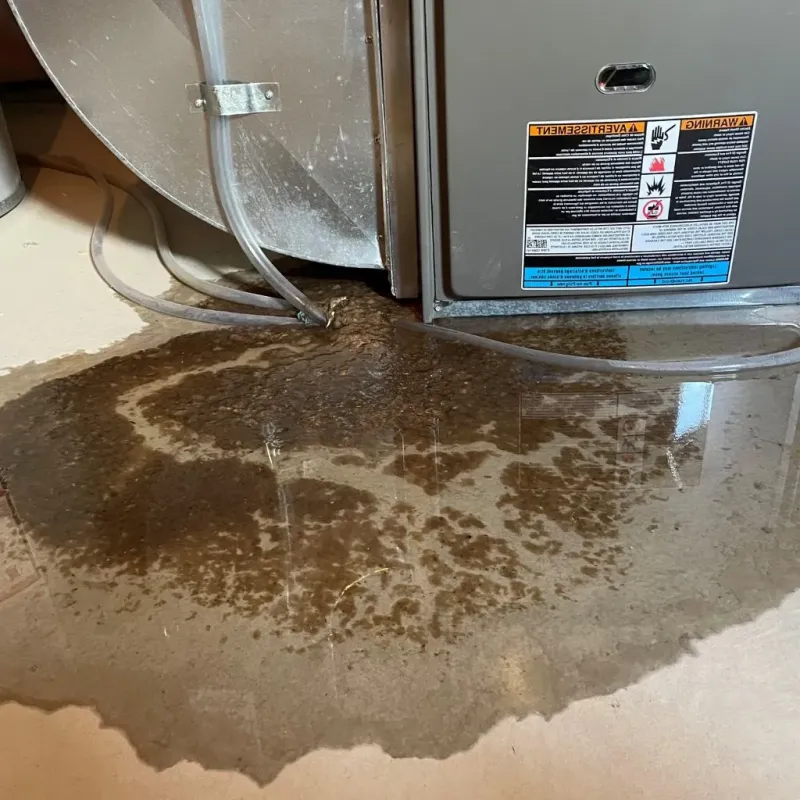 Pipe Burst and Leak Restoration in La Vale, MD