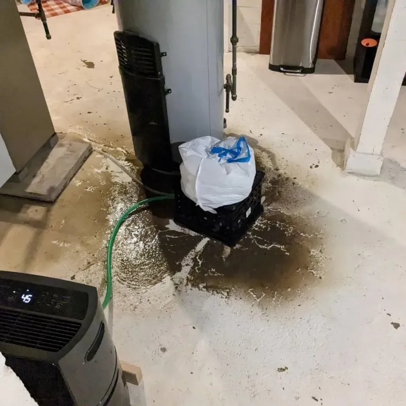 Sewage Backup Cleanup Service in La Vale, MD
